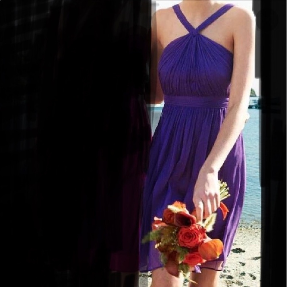 Silk Chiffon Dress